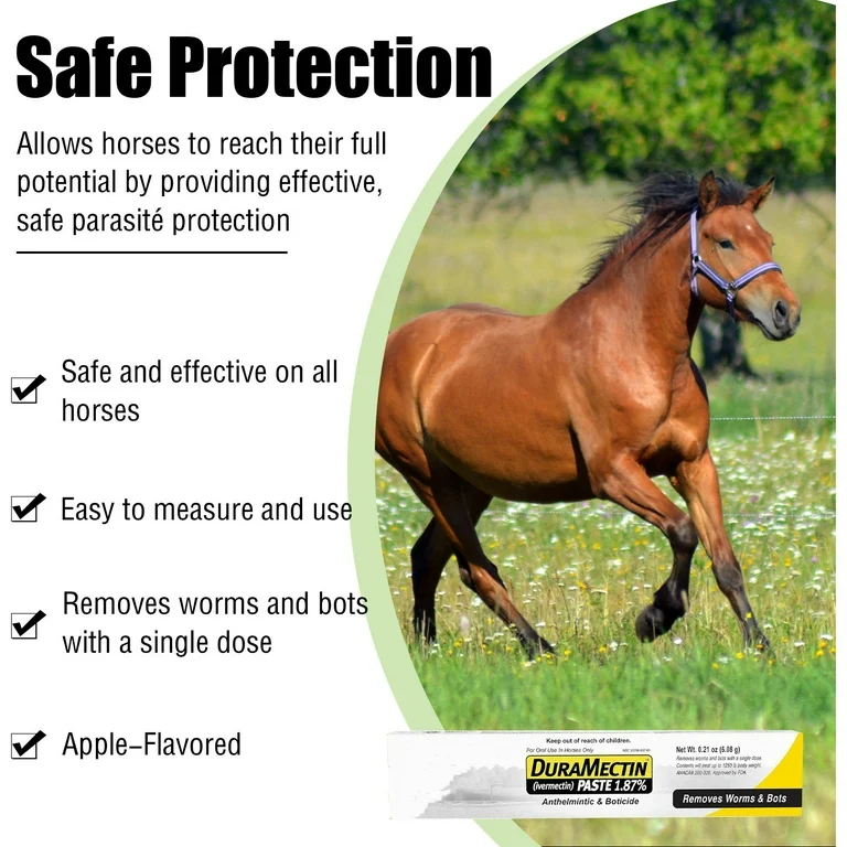 Duramectin Paste Horse Dewormer | Effective Parasite Control | Pack of 1 - Image 2